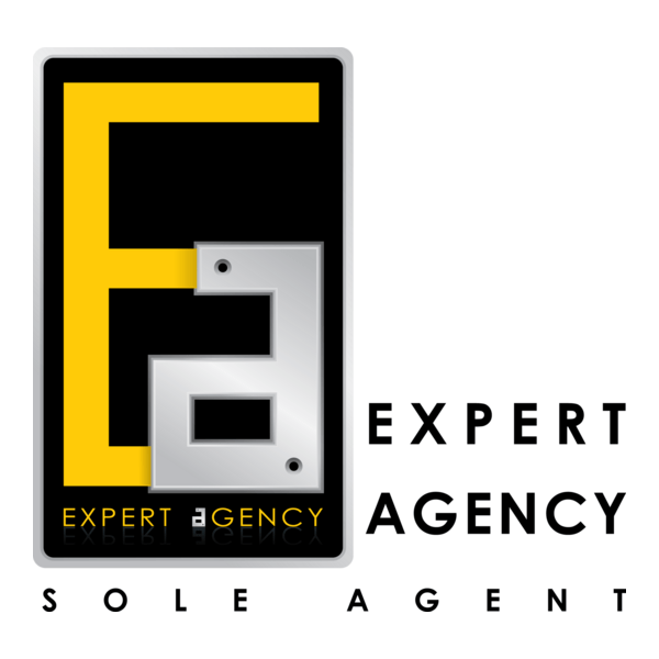 Expert Agency Logo PNG Vector