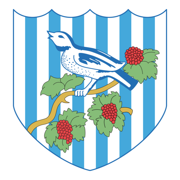 FC West Bromwich Albion 90's Logo PNG Vector