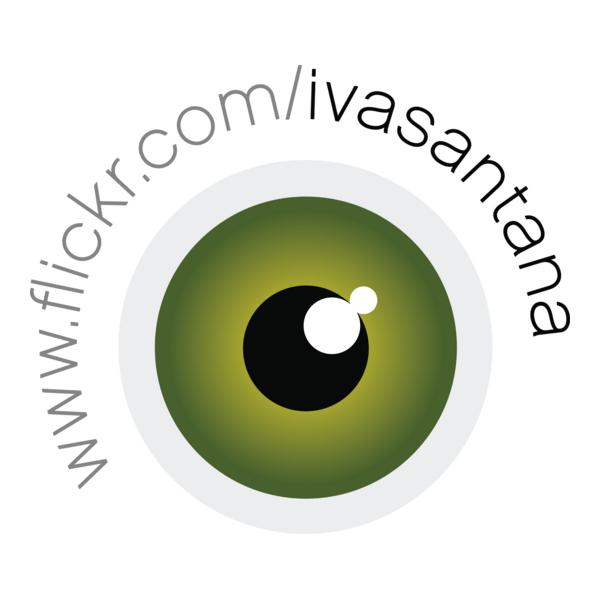 Iva Santana Logo PNG Vector