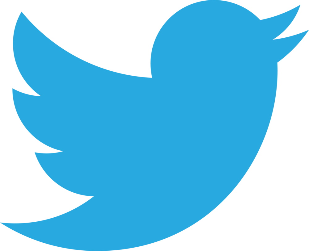 Twitter 2012 Positive Logo PNG Vector