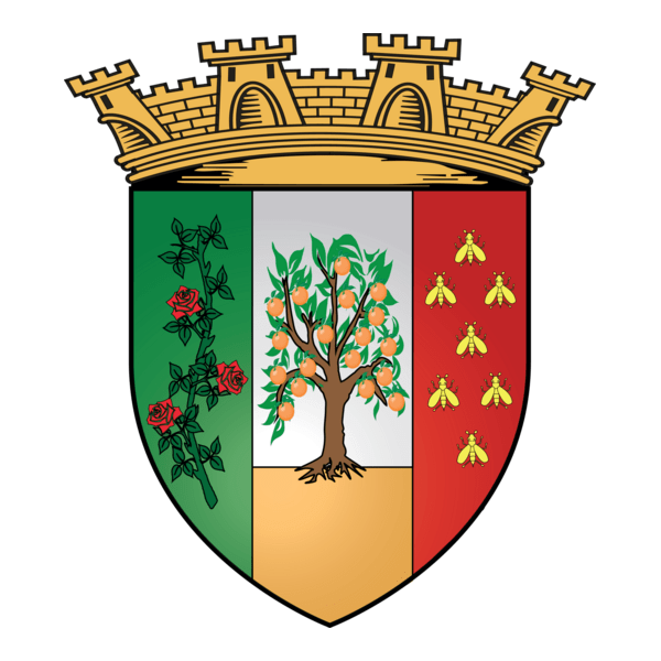 Ville De Blida Logo PNG Vector