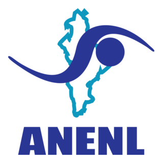 Asociación de Natación del Estado de Nuevo león Logo PNG Vector