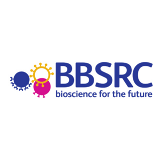BBSRC Logo PNG Vector