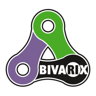 Bivarix Logo PNG Vector