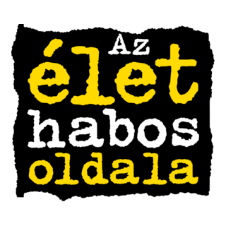 Borsodi Logo PNG Vector