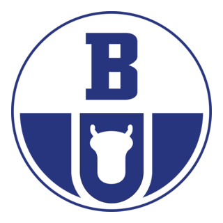 Boryszew Group Logo PNG Vector