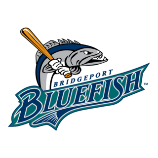 Bridgeport Bluefish Logo PNG Vector