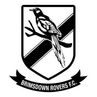 Brimsdown Rovers FC Logo PNG Vector