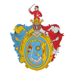 Hajdúböszörményi TE Logo PNG Vector