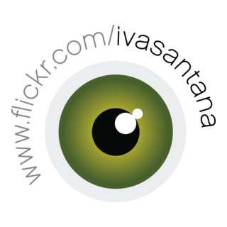 Iva Santana Logo PNG Vector