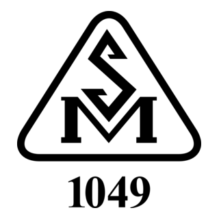 Moldova Standard Logo PNG Vector