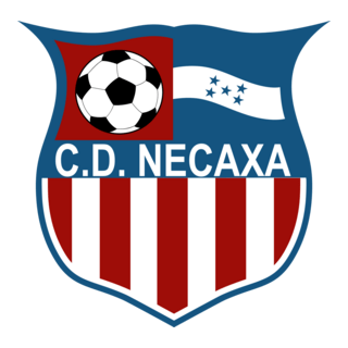 Necaxa Logo PNG Vector