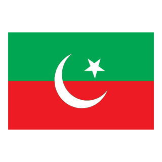 Pakistan Tehreek-e-Insaf Logo PNG Vector