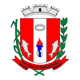 Pirarassununga Logo PNG Vector