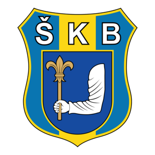 SK Bernolakovo Logo PNG Vector