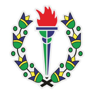 Smouha Sporting Club Logo PNG Vector