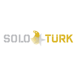 Solo Türk Logo PNG Vector