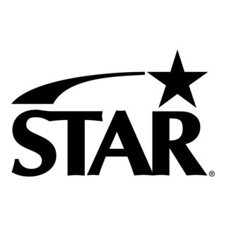 Star Logo PNG Vector