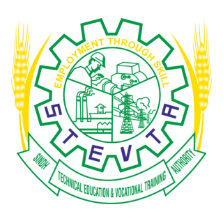 STEVTA Logo PNG Vector