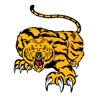 Tiger Logo PNG Vector