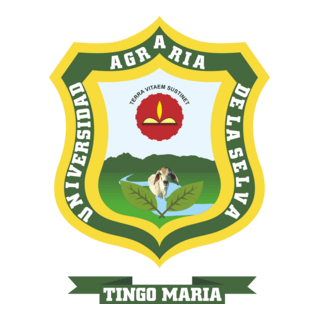 UNAS Logo PNG Vector