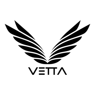 Vetta Art Logo PNG Vector