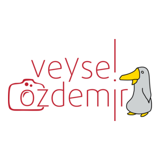 veysel özdemir Logo PNG Vector