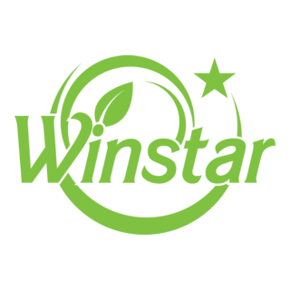 Winstar Logo PNG Vector