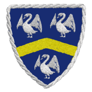 CR Complutense Cisneros Logo PNG Vector