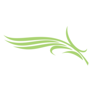 Diera Palm Logo PNG Vector