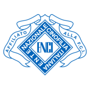 ENCI Logo PNG Vector