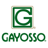 Gayosso Logo PNG Vector