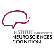 Institut des Neurosciences et de la Cognition Logo PNG Vector