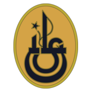 Istanbulspor Istanbul (70's) Logo PNG Vector