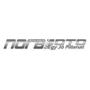Norbifoto Logo PNG Vector