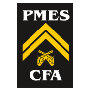 PMES CFA Logo PNG Vector