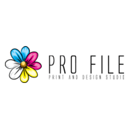 Pro File Logo PNG Vector