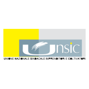 Unsic Logo PNG Vector