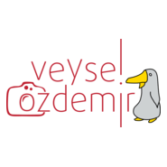 veysel özdemir Logo PNG Vector