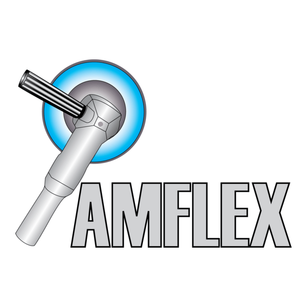 AMFLEX Logo PNG Vector (AI) Free Download