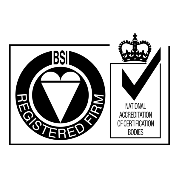 BSI Logo PNG Vector