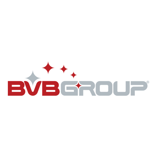 BVB Group Logo PNG Vector