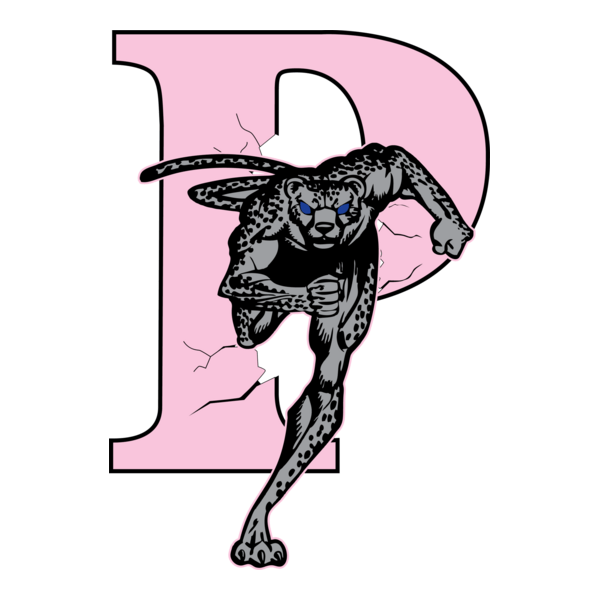 chita Logo PNG Vector