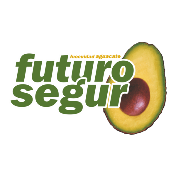 Futuro Seguro Logo PNG Vector