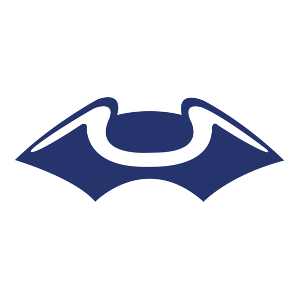 New England Patriots Logo PNG Vector