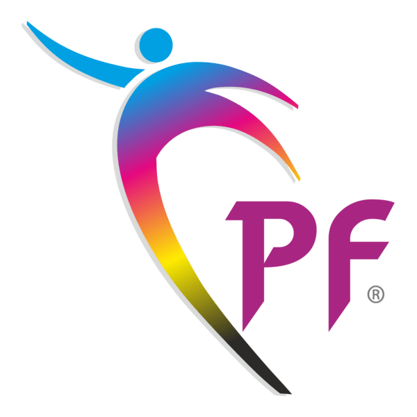 Punjab Flex Logo PNG Vector