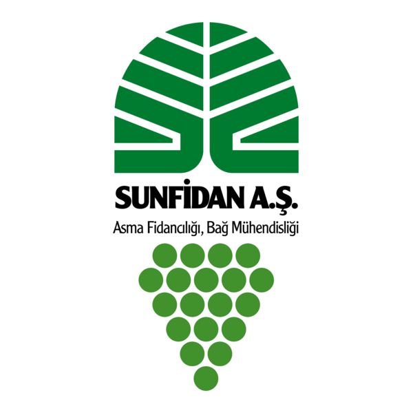 Sun Fidan Logo PNG Vector