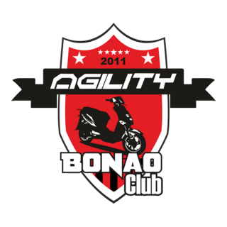 Agility Bonao Club Logo PNG Vector