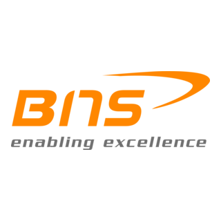 BNS GmbH Logo PNG Vector