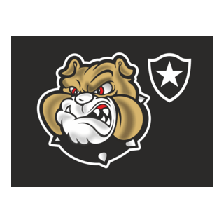 Botafogo Logo PNG Vector